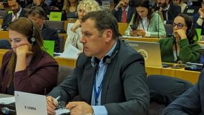 WATCH: MEP for Laois wants Common Environmental Policy for farmers
