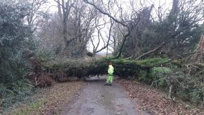 Laois council on alert for Storm Ashley hit