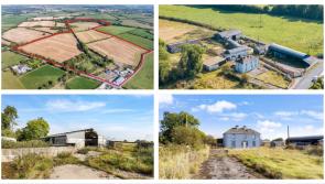 PICTURES: Traditional farmhouse with incredible landscape on the Laois -Kilkenny border hits the market