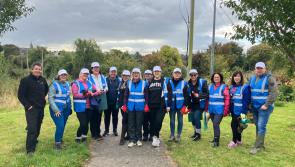 Volunteer AIB bankers invest in Laois future in Ireland's Tidiest Town 