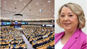 Laois Sinn Féin councillor already a member of EU forum of local politicans 