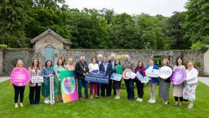 Nominations revealed for Laois Community and Voluntary Awards