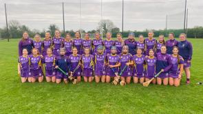 Laois camogie club launches fundraiser to  support Intermediate Leinster final bid