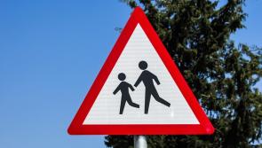 Laois could be the first county in Ireland to get painted roads near schools