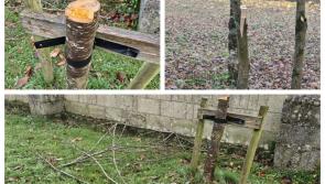 Laois Tidy Towns group issue appeal over vandalism to trees 
