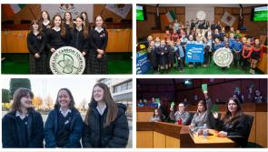 PICTURES: Students from all 10 Portlaoise schools cluster together for greener travel
