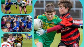 IN PICTURES: Teak tough young Laois GAA stars sparkle in wintry O'Moore Park Portlaoise