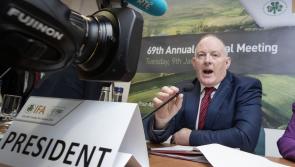 Mercusor will 'devastate' €3 bn beef farming declares Laois man who leads Irish farmers