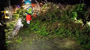 One taken to hospital as Laois fire services attend 50 callouts during Storm Darragh