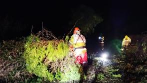 STORM DARRAGH: Laois County Council issues update 
