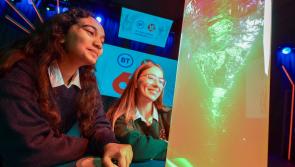 Three Laois schools qualify for BT Young Scientist Exhibition 2025