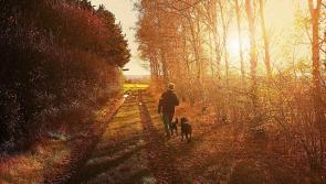 10 simple ways to beat the gloom this January