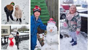 IN PICTURES: Laois' snowmen, snowwomen and even snow dogs 