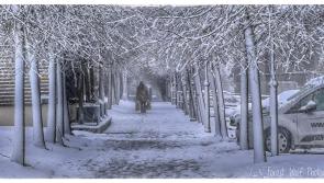 BREAKING: Many Laois schools to remain closed due to snow and icy conditions
