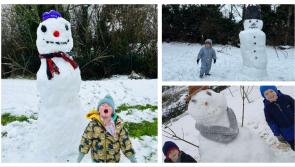 PICTURES: All smiles as no school for Laois children means another day in the snow