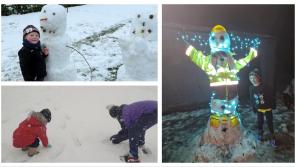PICTURES: Laois families make best of cold snap by having fun in snow