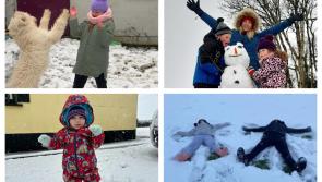 PICTURES: Stunning snow covered Laois embraces the cold snap 