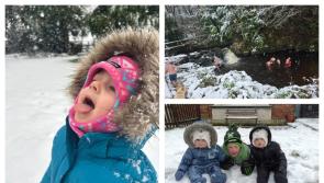 IN PICTURES: Out and about in snowy Laois