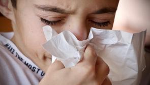 HSE announces Laois flu vaccination clinic in Portlaoise for children 