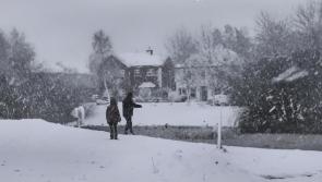 Eight Laois housing estates to receive salt bins in future snow events