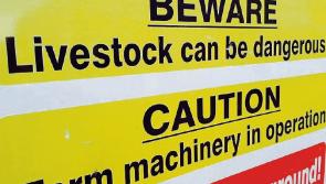 Number of farm inspections in Laois falls dramatically 