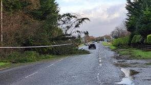 Met Éireann puts Laois on alert for what could be Storm Éowyn