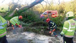 Storm Éowyn to be 'historic' warns Carlow Weather man who forecasts Storm Ophelia power