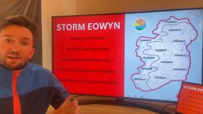 WATCH: 'Hurricane-force Storm Éowyn winds - county by county forecast 