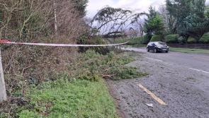 Laois people urged to stay home after Storm Éowyn warnings  expire