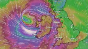 Gardaí warn 'stay indoors'  as Laois County Council announces closures ahead of Storm Éowyn