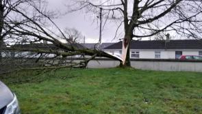 Met Éireann downgrades Storm Éowyn to Status Yellow in Laois but hazards remain
