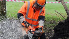 Leave Storm Éowyn chainsaw clean up to the pros warns health and safety watchdog