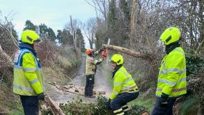 Laois Storm Éowyn emergency hotline number stood down