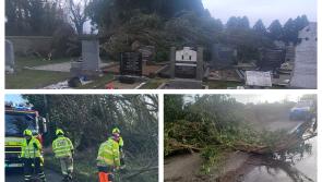 In Pictures: Trail of damage left through Laois by Storm Eowyn