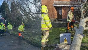 UPDATE: Laois County Council issue update on roads that are now cleared 