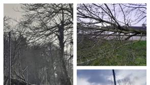 Storm Éowyn clean up commences in Laois as parts of N80 remain impassable 