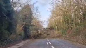 Status Red Storm  Éowyn  warning lifted but dangerous conditions remain across Laois