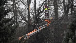 Storm Éowyn leaves thousands of Laois homes and businesses without power as ESB site crashes