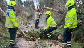 Met Éireann warns Storm Herminia could worsen Storm Éowyn damage with snow in places