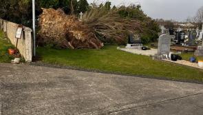 Snow/ice and Storm Éowyn clean up detailed at council meeting in Laois 