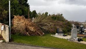 When will power be restored for Laois homes impacted by Storm Éowyn?