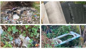 'The mentality of people just flabbergasts us' Laois Tidy Towns slams illegal dumping