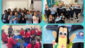 In Pictures: Laois schools celebrate St Brigid's Day