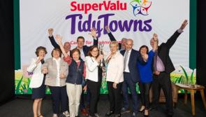 Applications now open for Laois clubs and committees to receive up to &euro;25k in funding