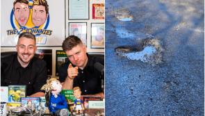 2 Johnnies name road out of Laois town as one of the worst in Ireland