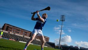 GAA GUIDE: When and where to watch the Laois hurlers League clash against Waterford live