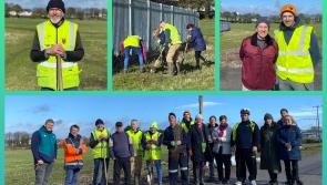 Laois locals go green in tree planting initiative