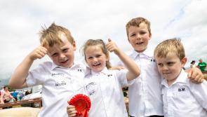 Big Laois summer shows backed with public money 