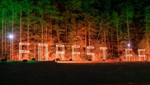 Laois Forest Fest 2025 to have new 'top-notch' camping 