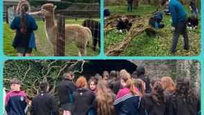 PICTURES: Laois students have fun foraging with furry friends